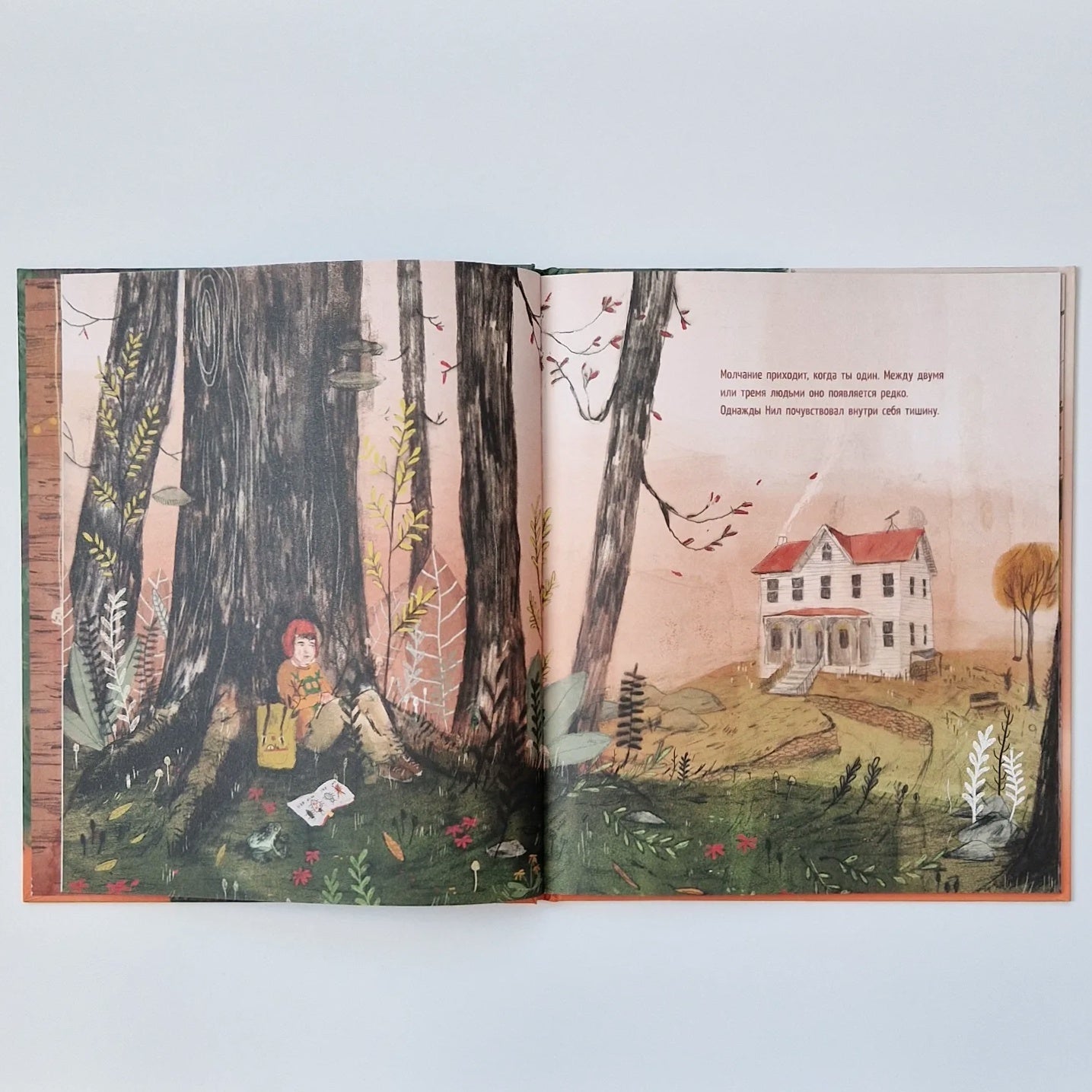 Дом на дереве