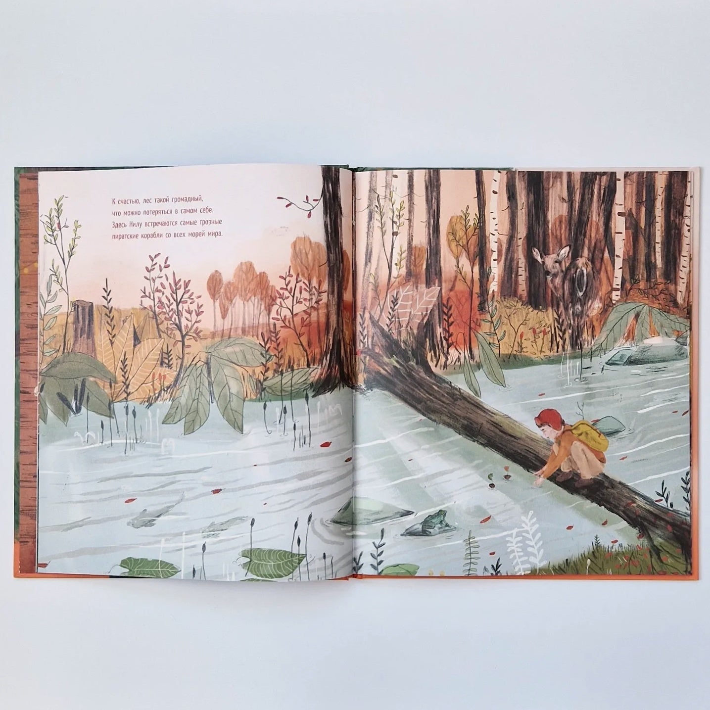 Дом на дереве