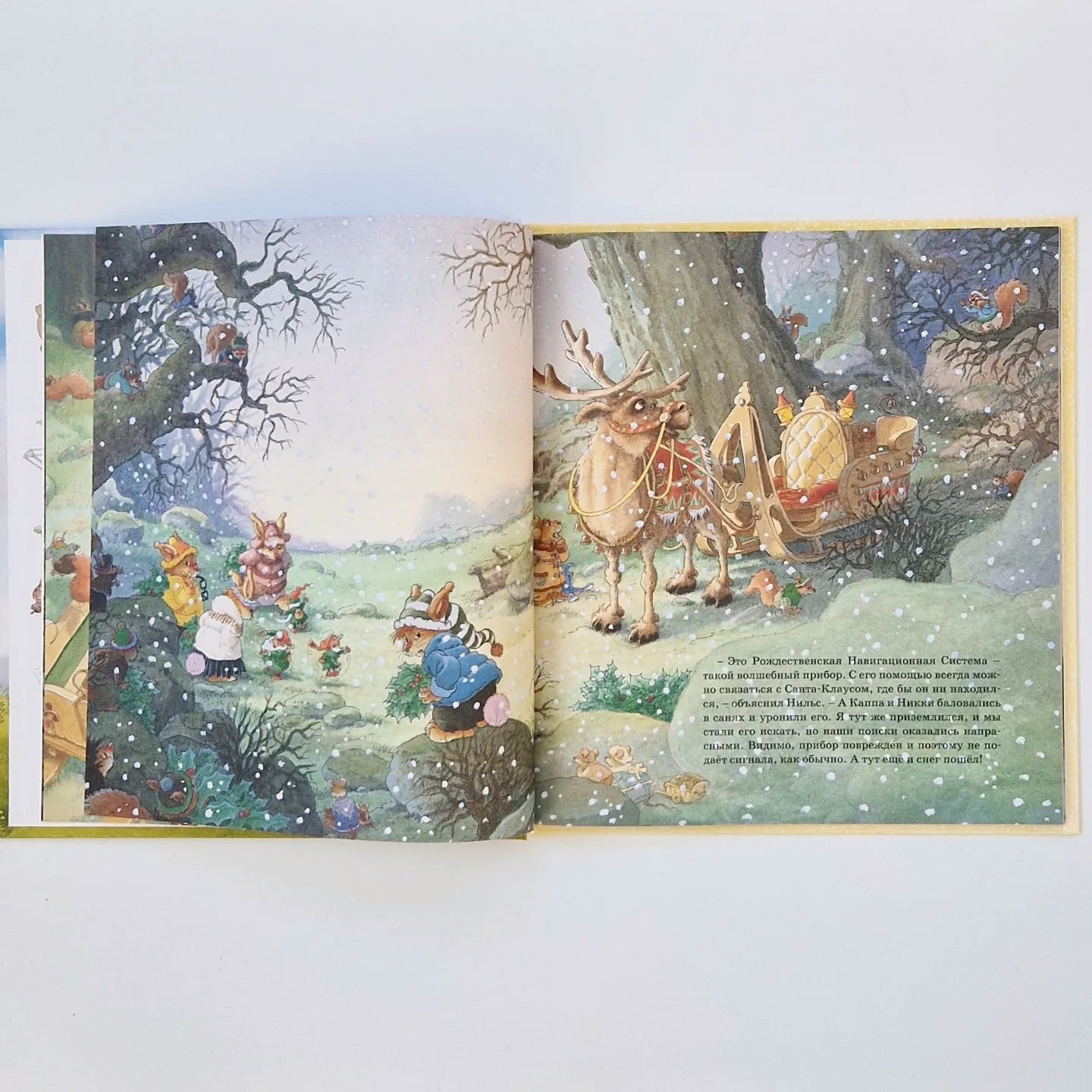 The Great Cycling Race