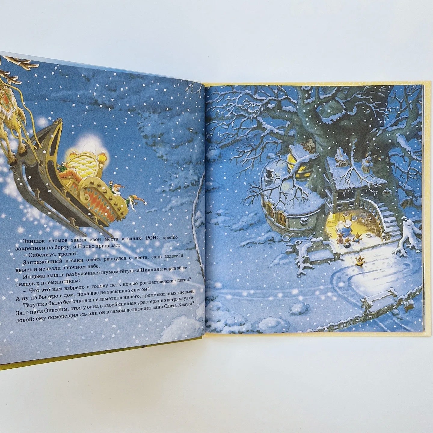 The Great Cycling Race