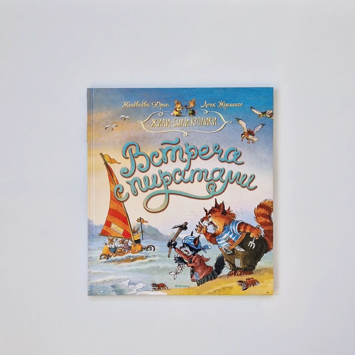 Встреча с пиратами