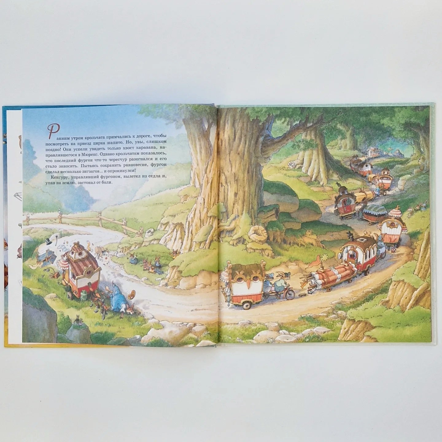 Встреча с пиратами