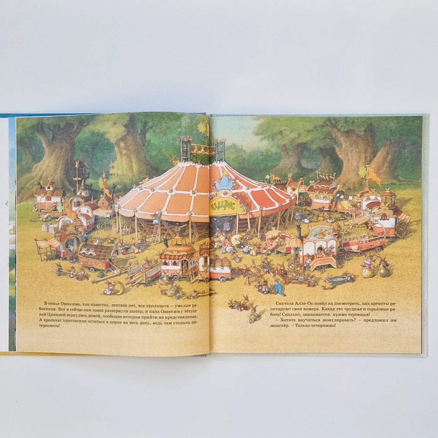 Встреча с пиратами