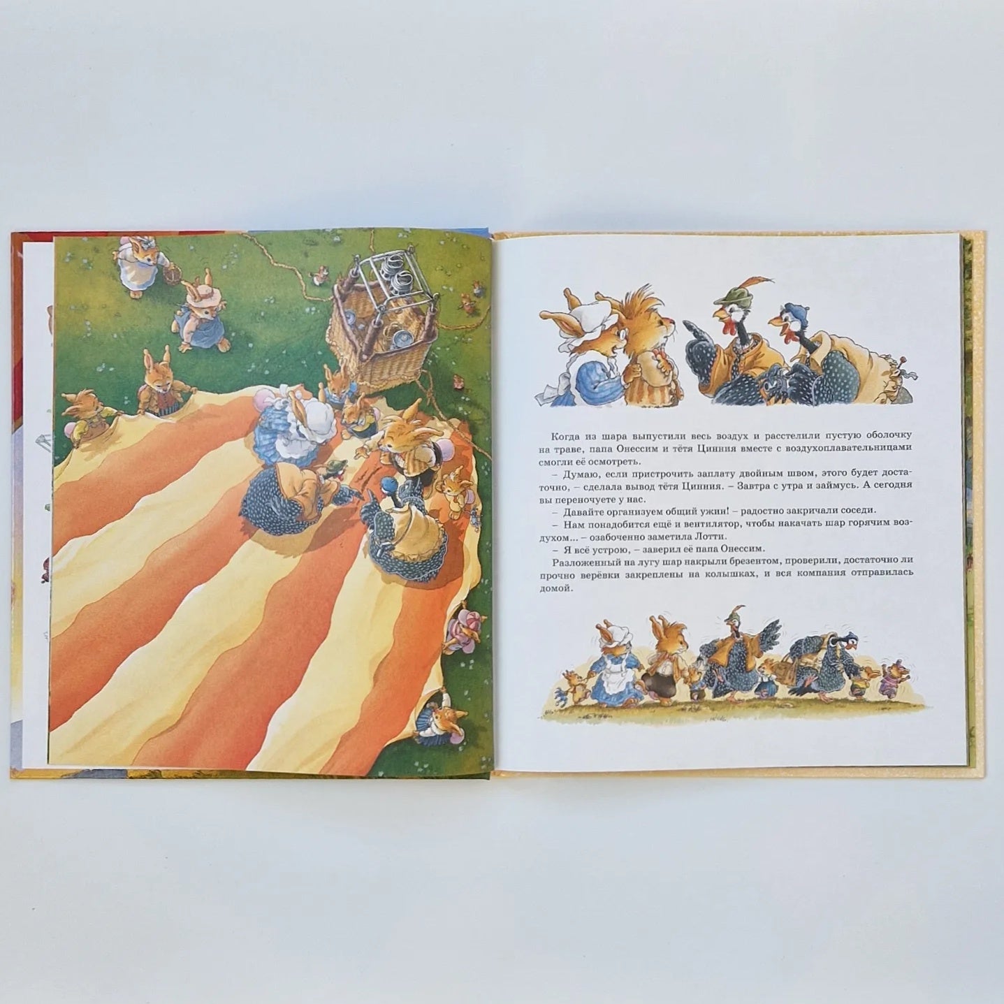 Воздушные приключения