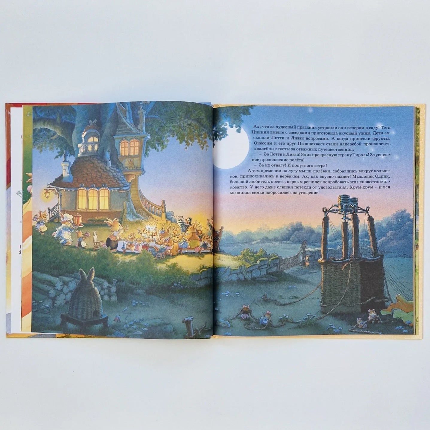 Воздушные приключения