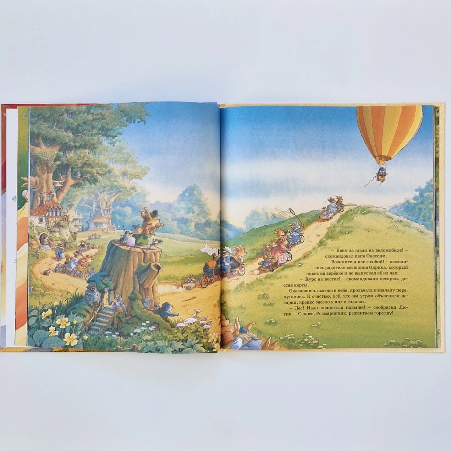 Воздушные приключения