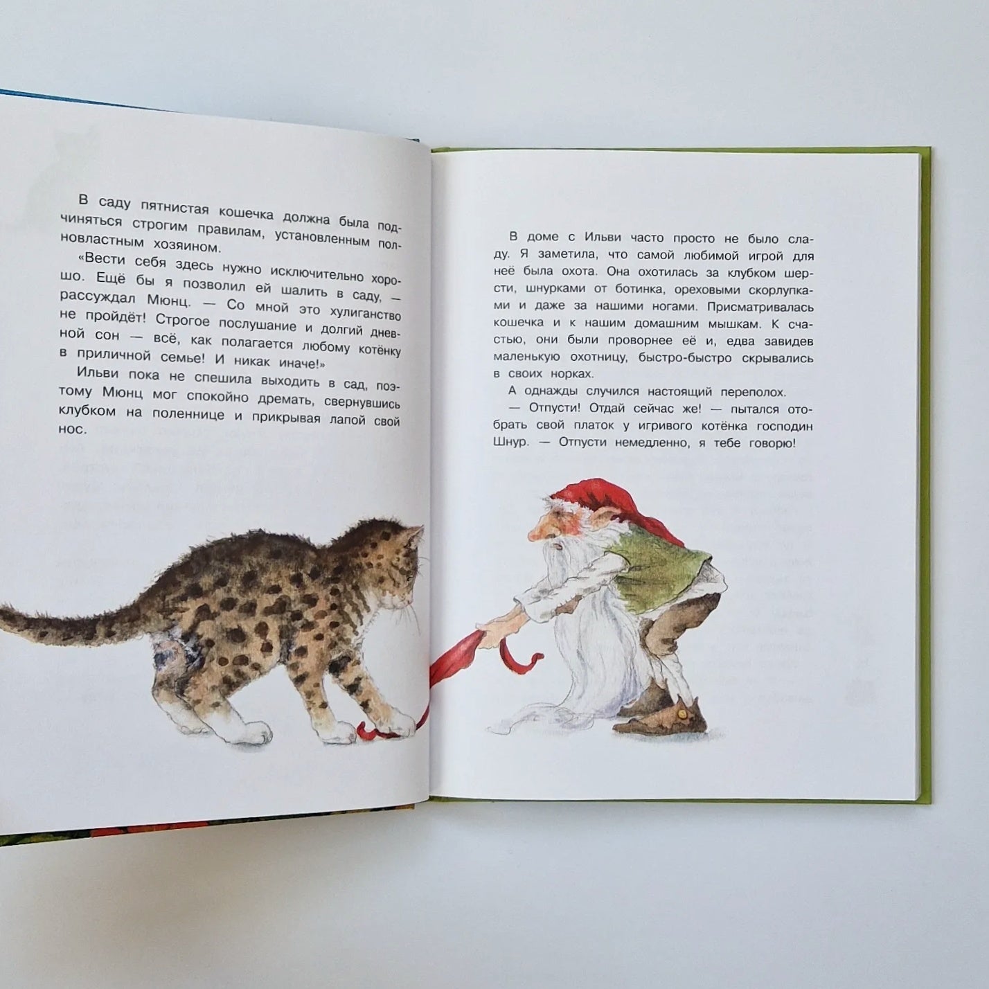 Гном из водосточной трубы. Слышишь, как растет трава…