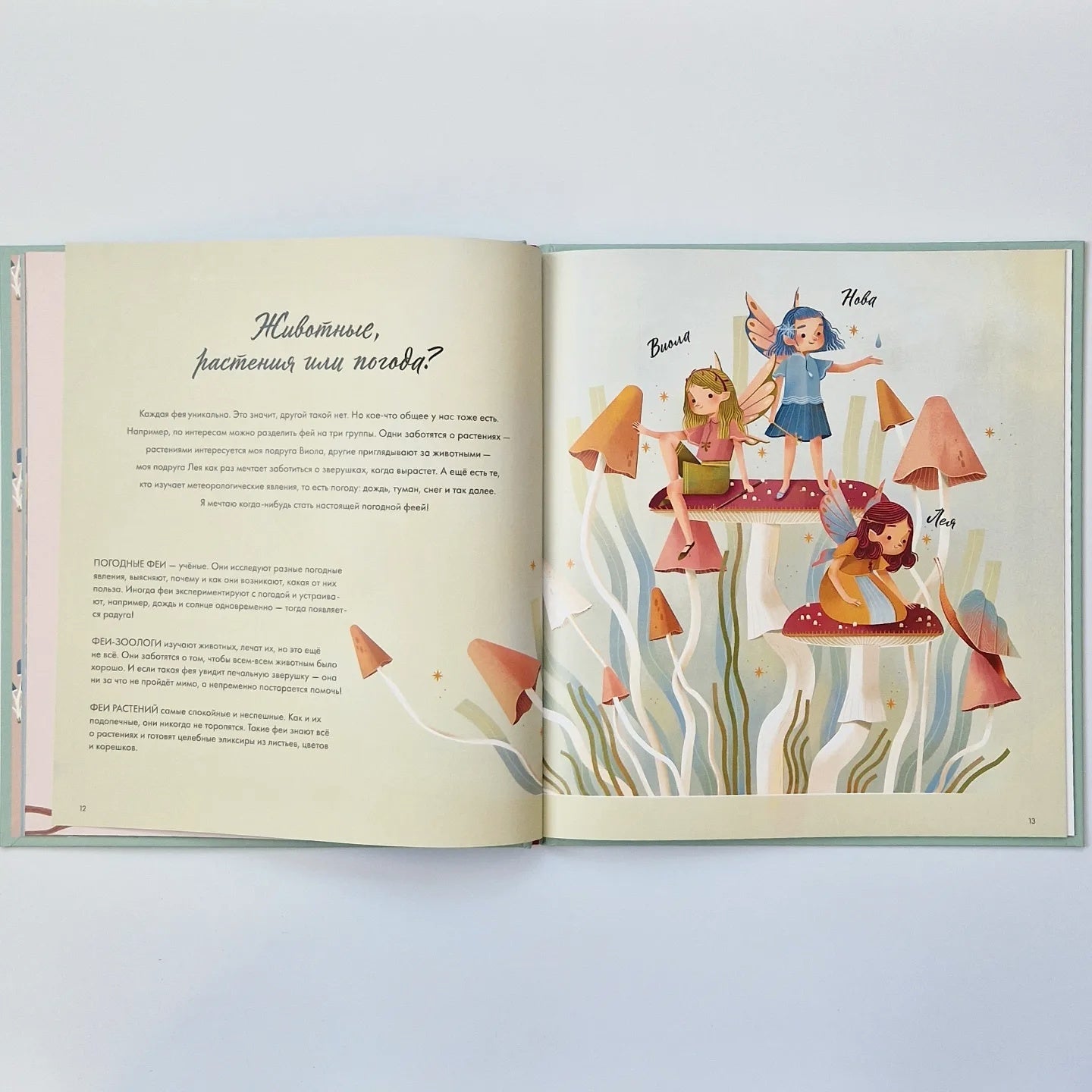 Волшебный мир фей