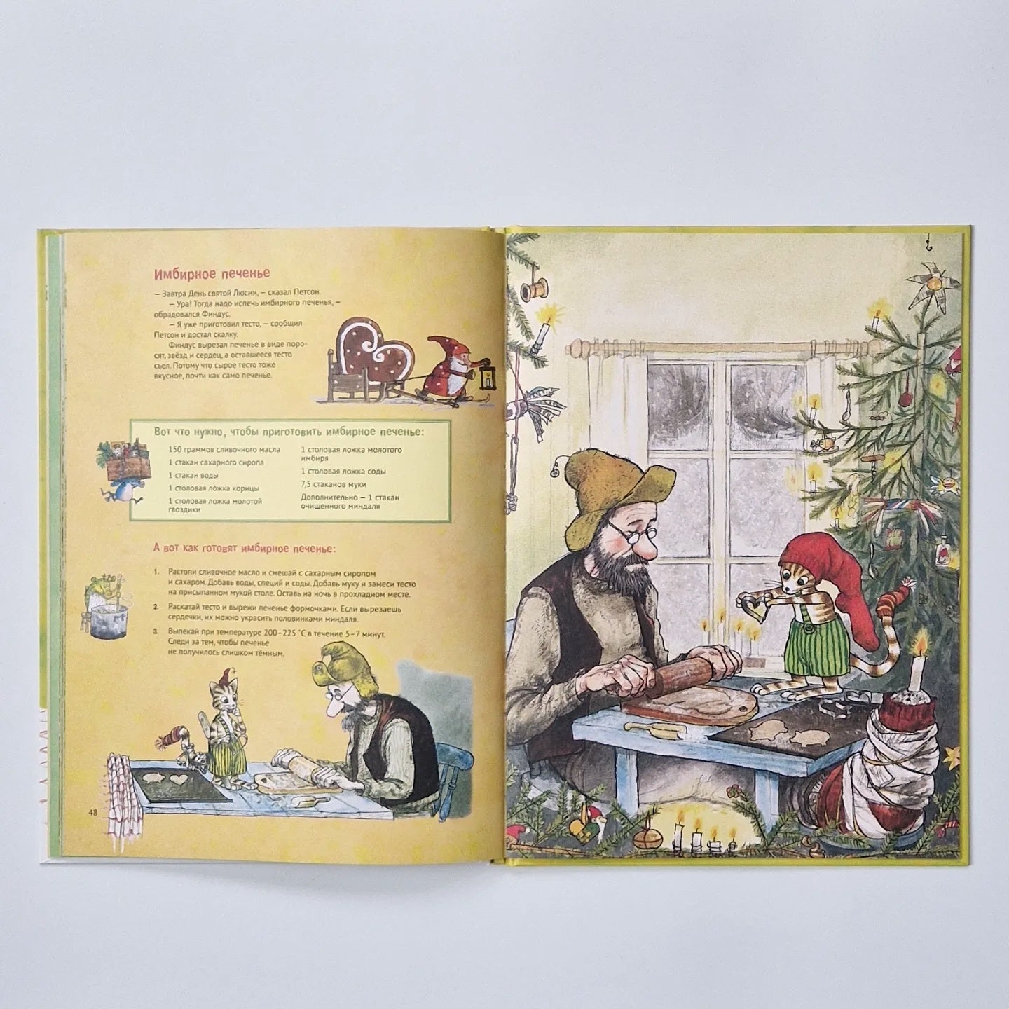 Готовим вместе с Петсоном и Финдусом