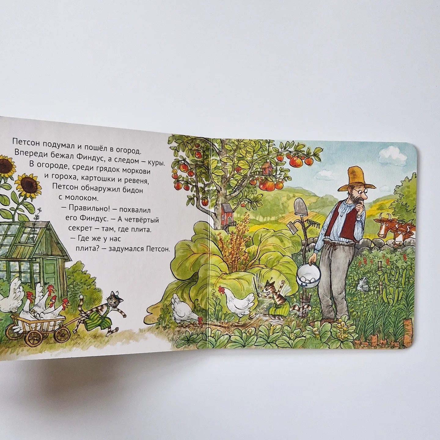 Четыре секрета Финдуса