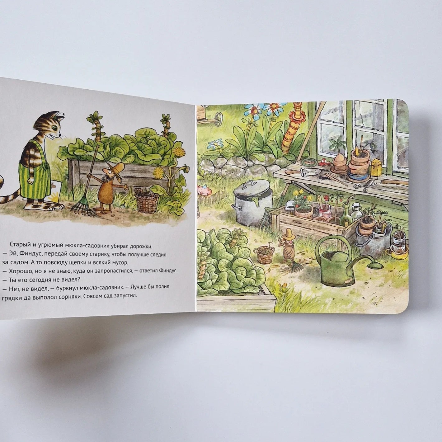 Где Петсон?