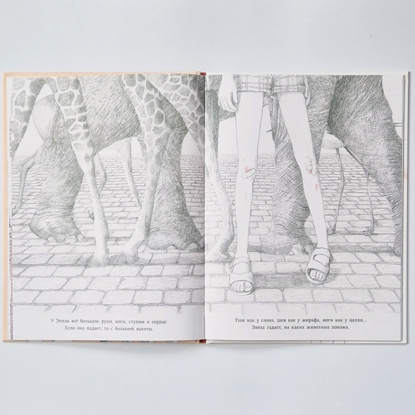 Моя большая