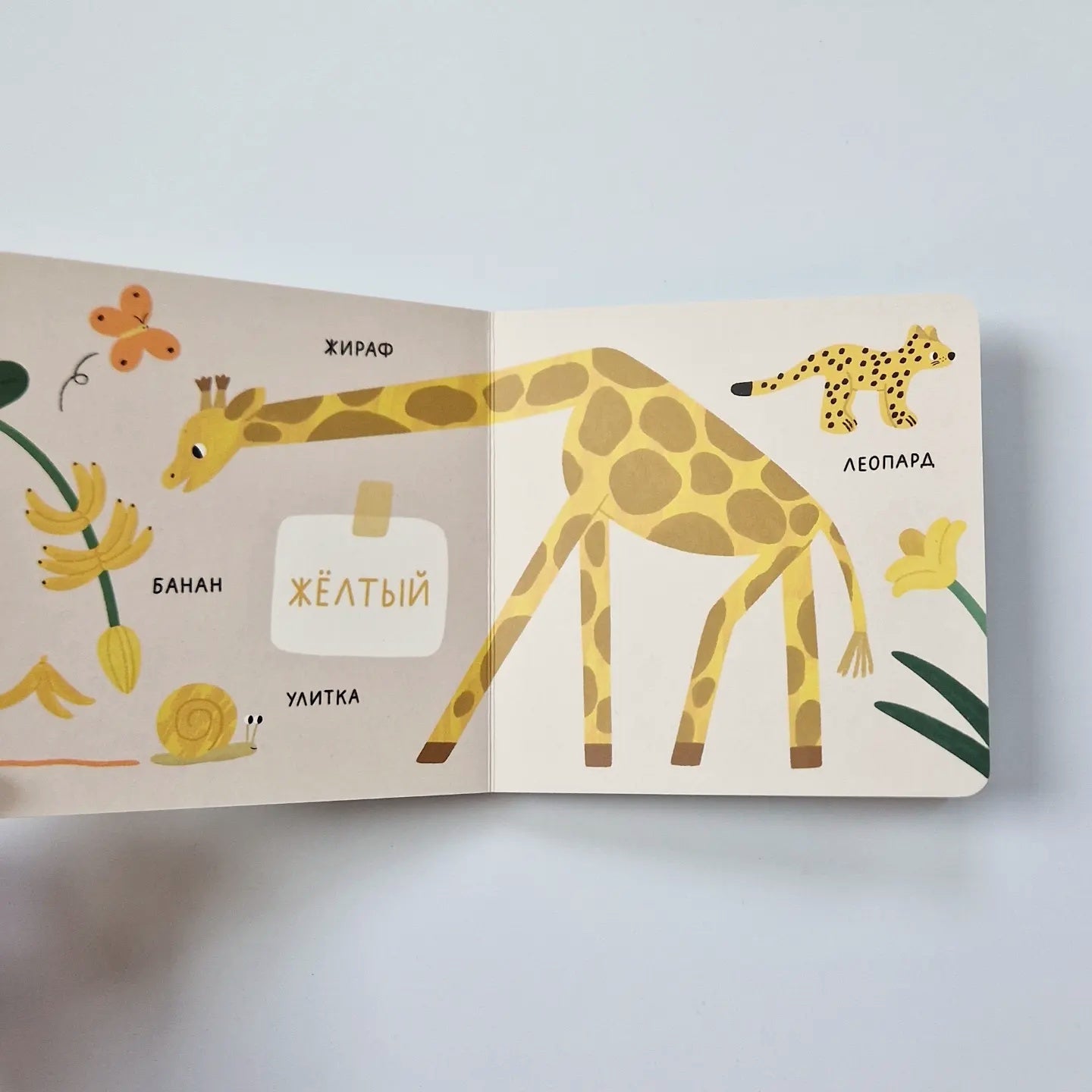 Цвета. Природа