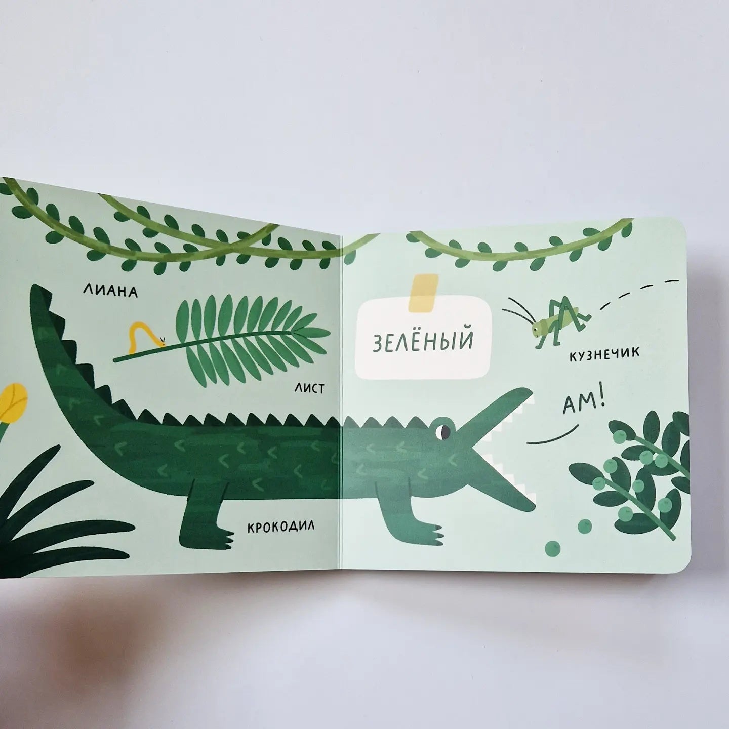 Цвета. Природа