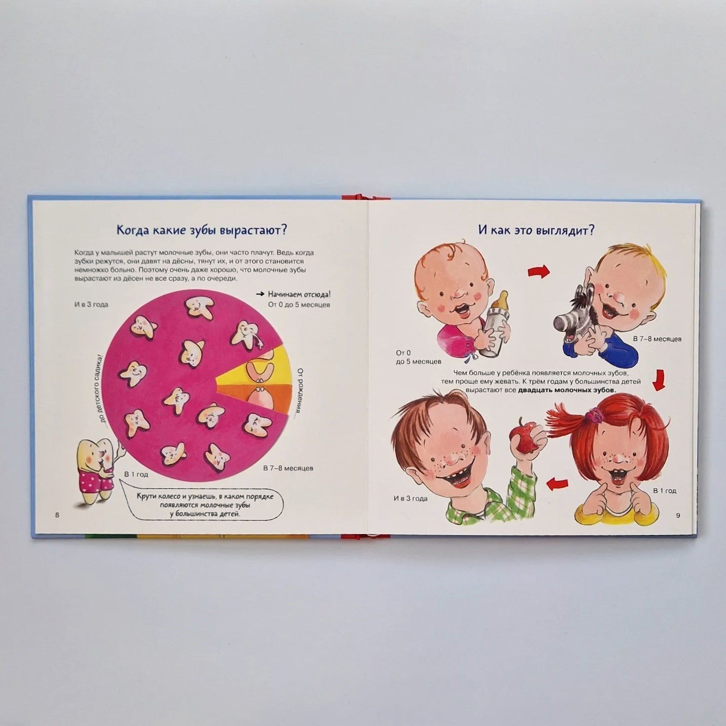 Dental Book. All about your baby teeth