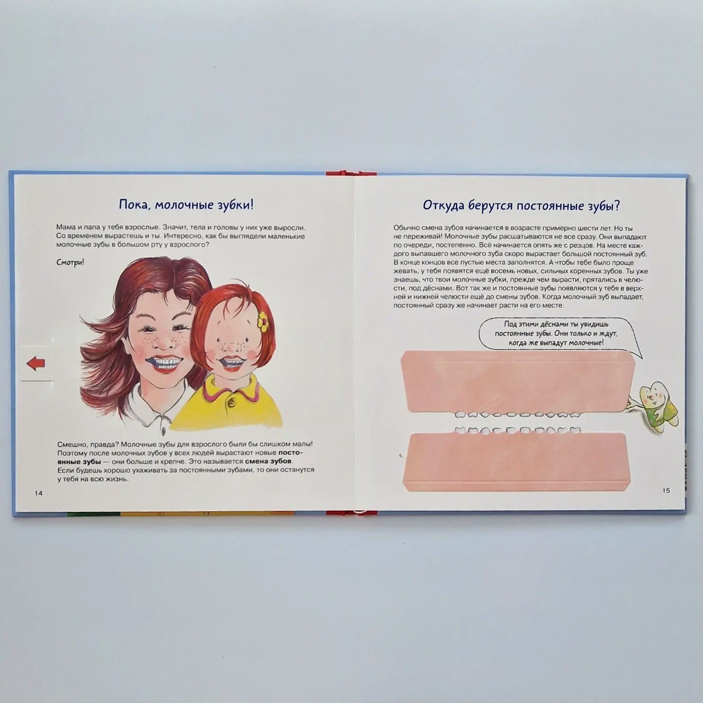 Dental Book. All about your baby teeth