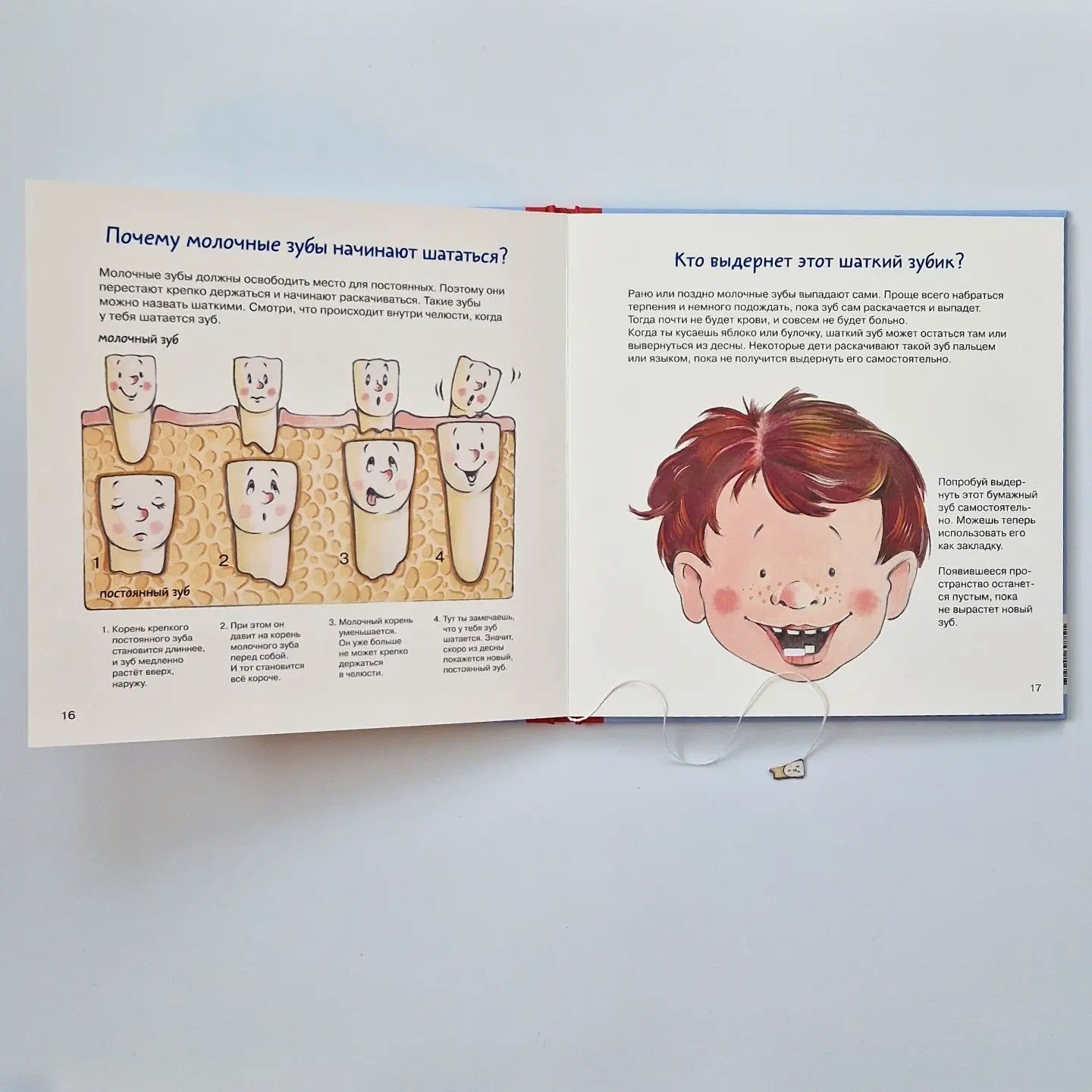 Dental Book. All about your baby teeth