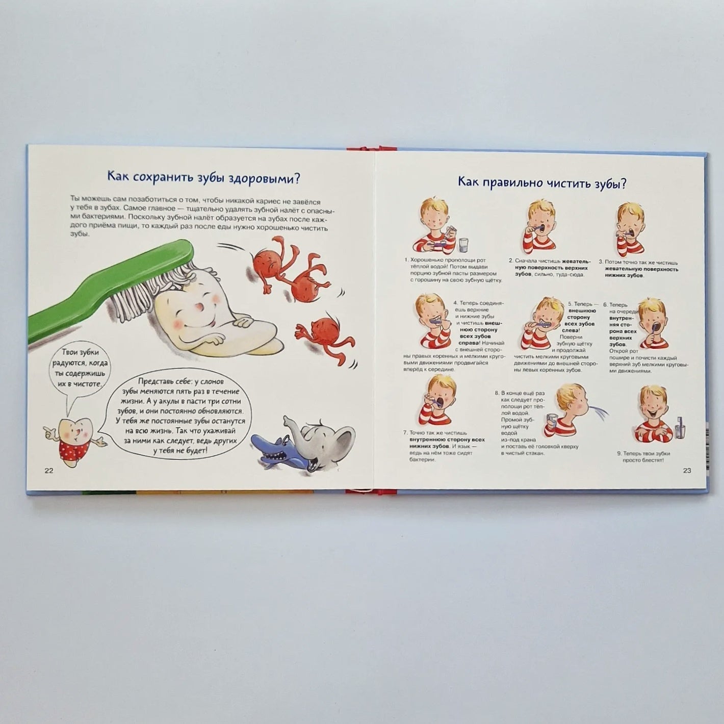 Dental Book. All about your baby teeth