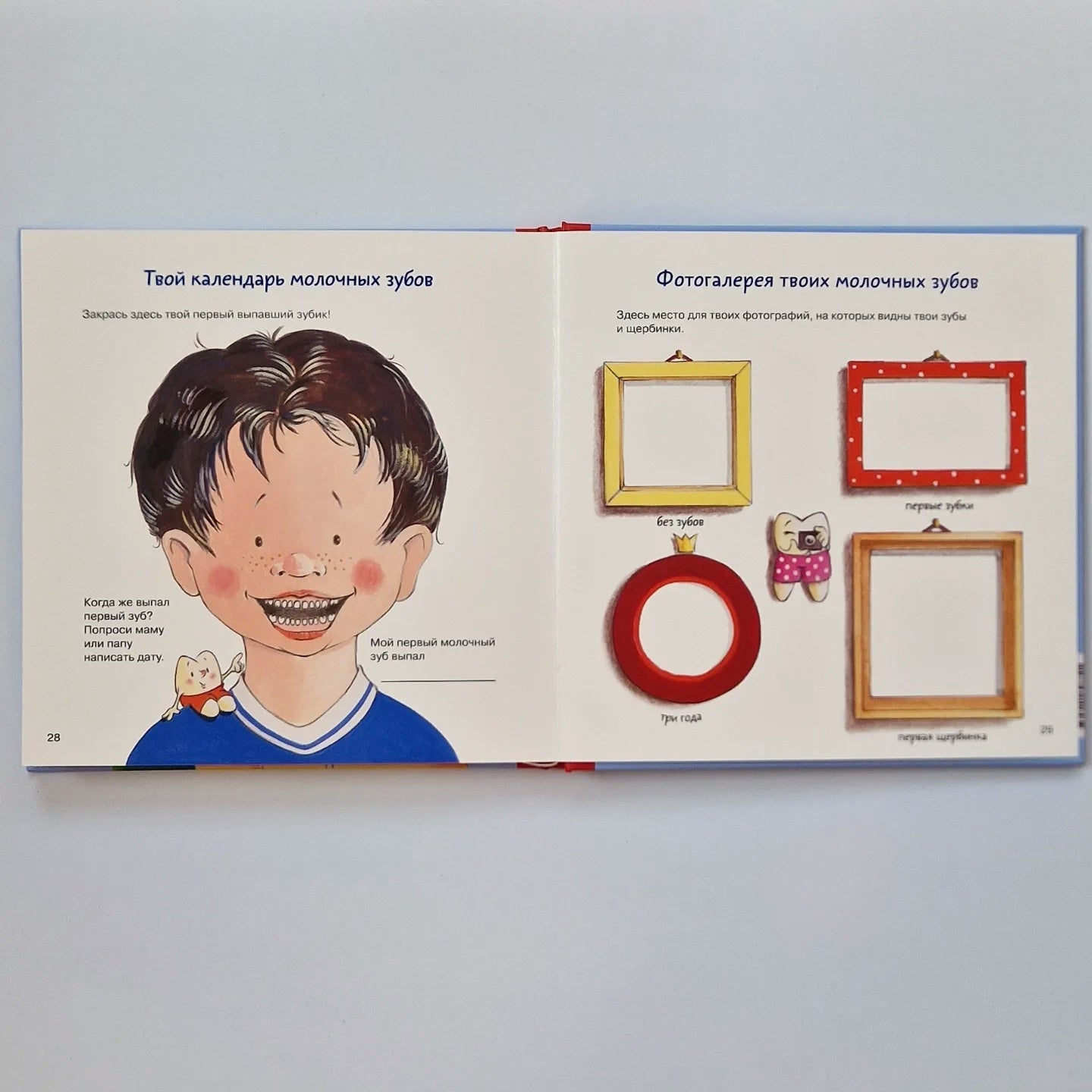 Dental Book. All about your baby teeth