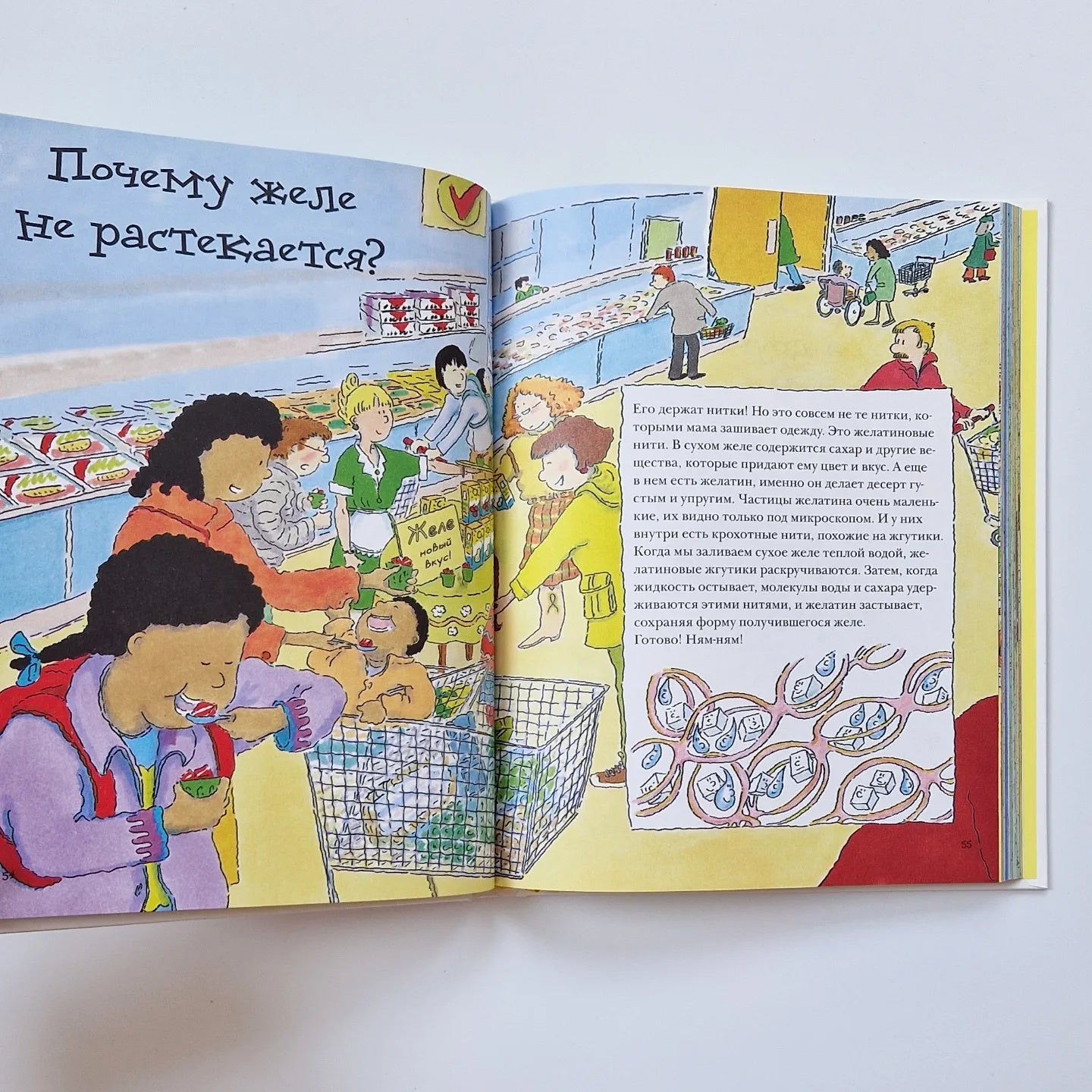 Why? The most interesting children's questions about nature, science and the world around us 