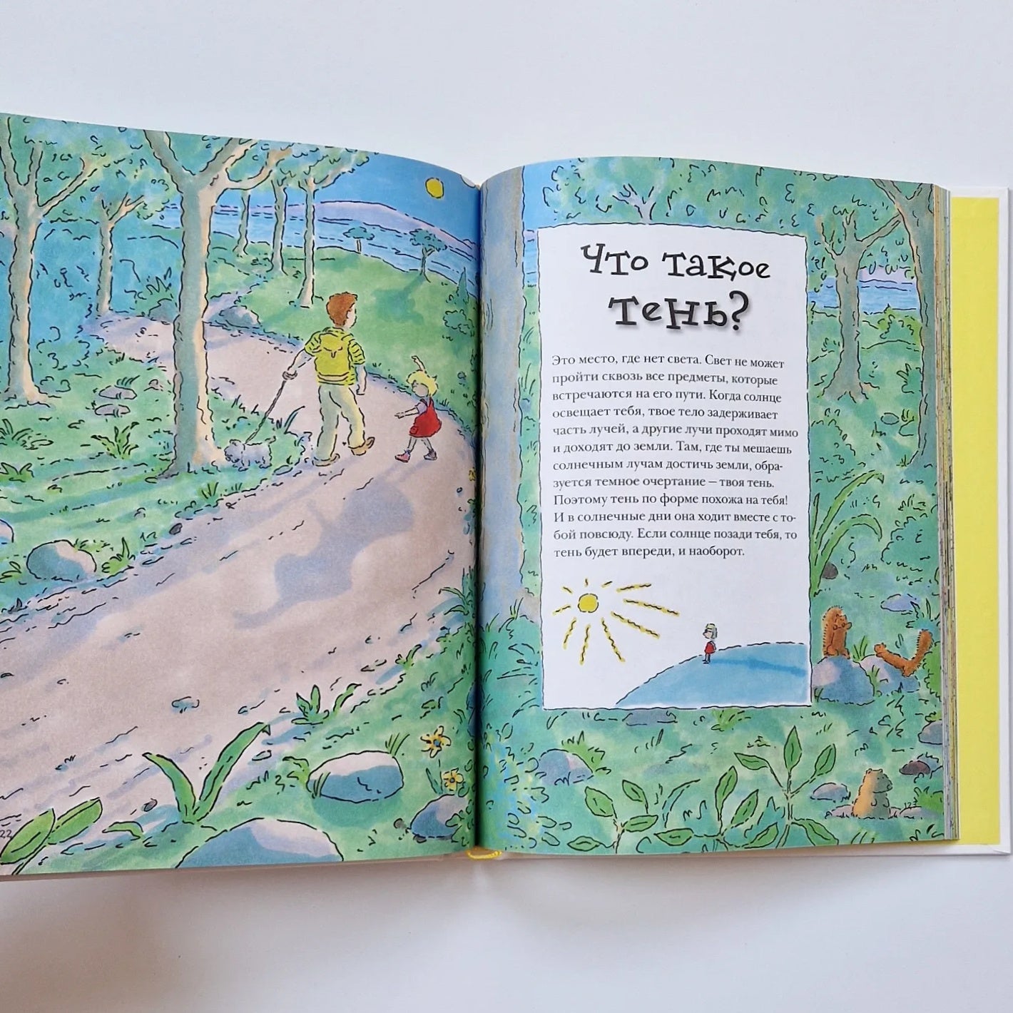 Why? The most interesting children's questions about nature, science and the world around us 