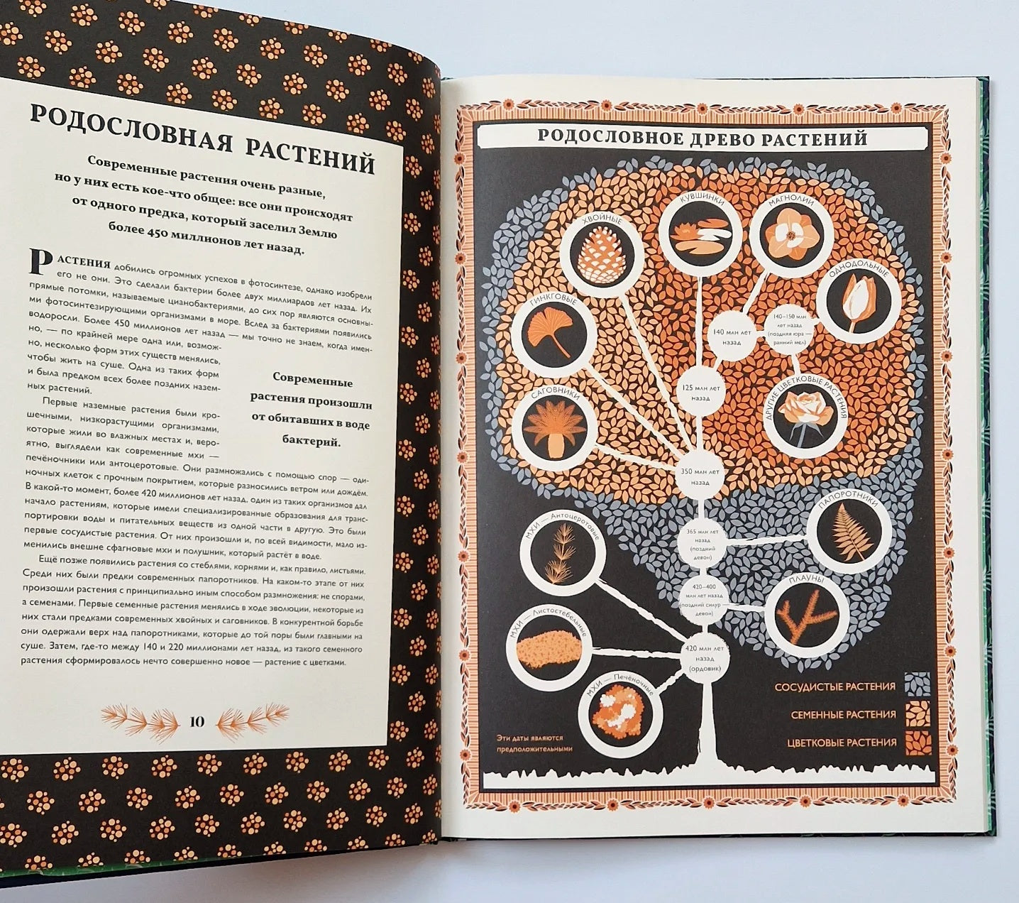 Мир растений