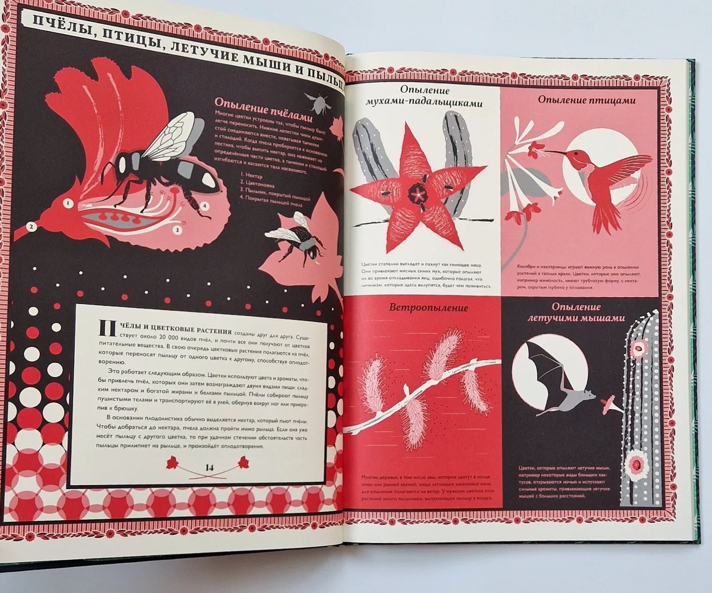 Мир растений