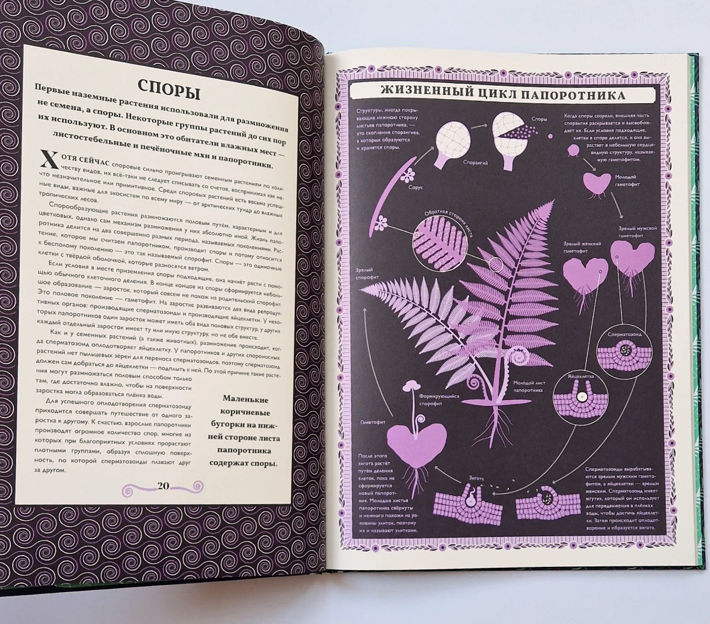 Мир растений