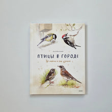 Загрузить изображение в средство просмотра галереи, Птицы в городе. Где найти и как узнать
