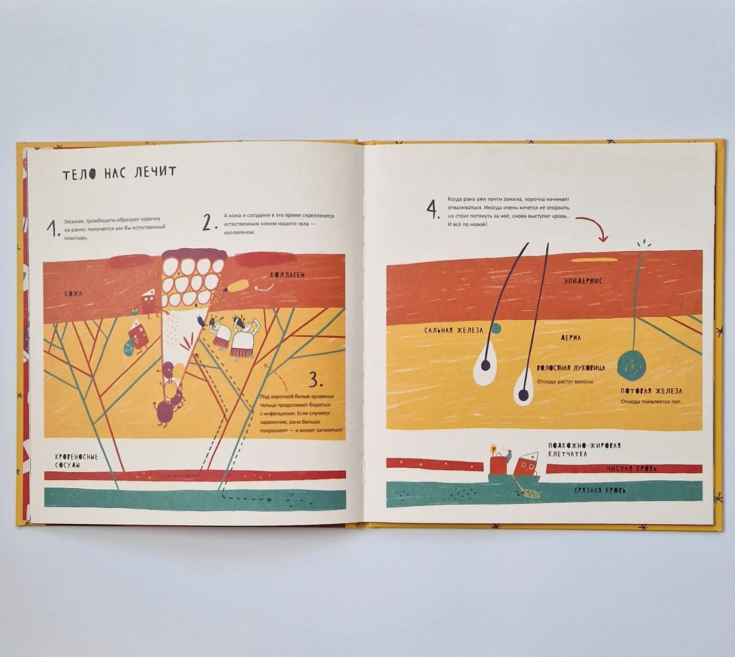 The Secret Life of Diseases