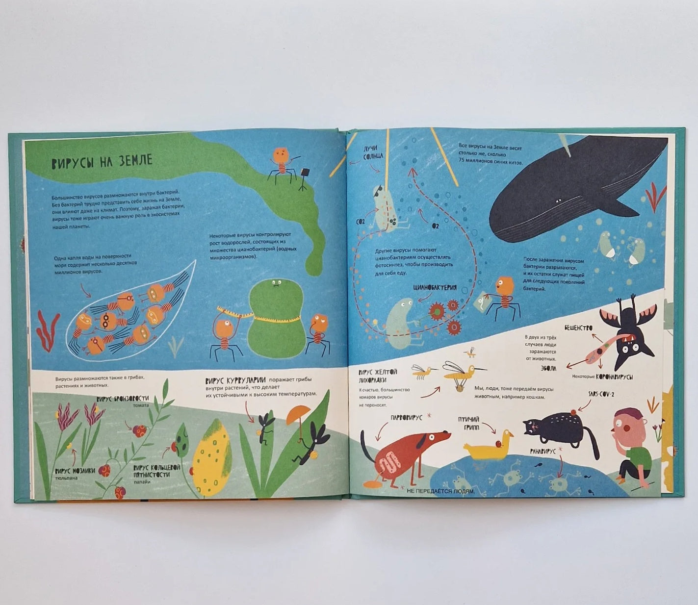 Тайная жизнь вирусов