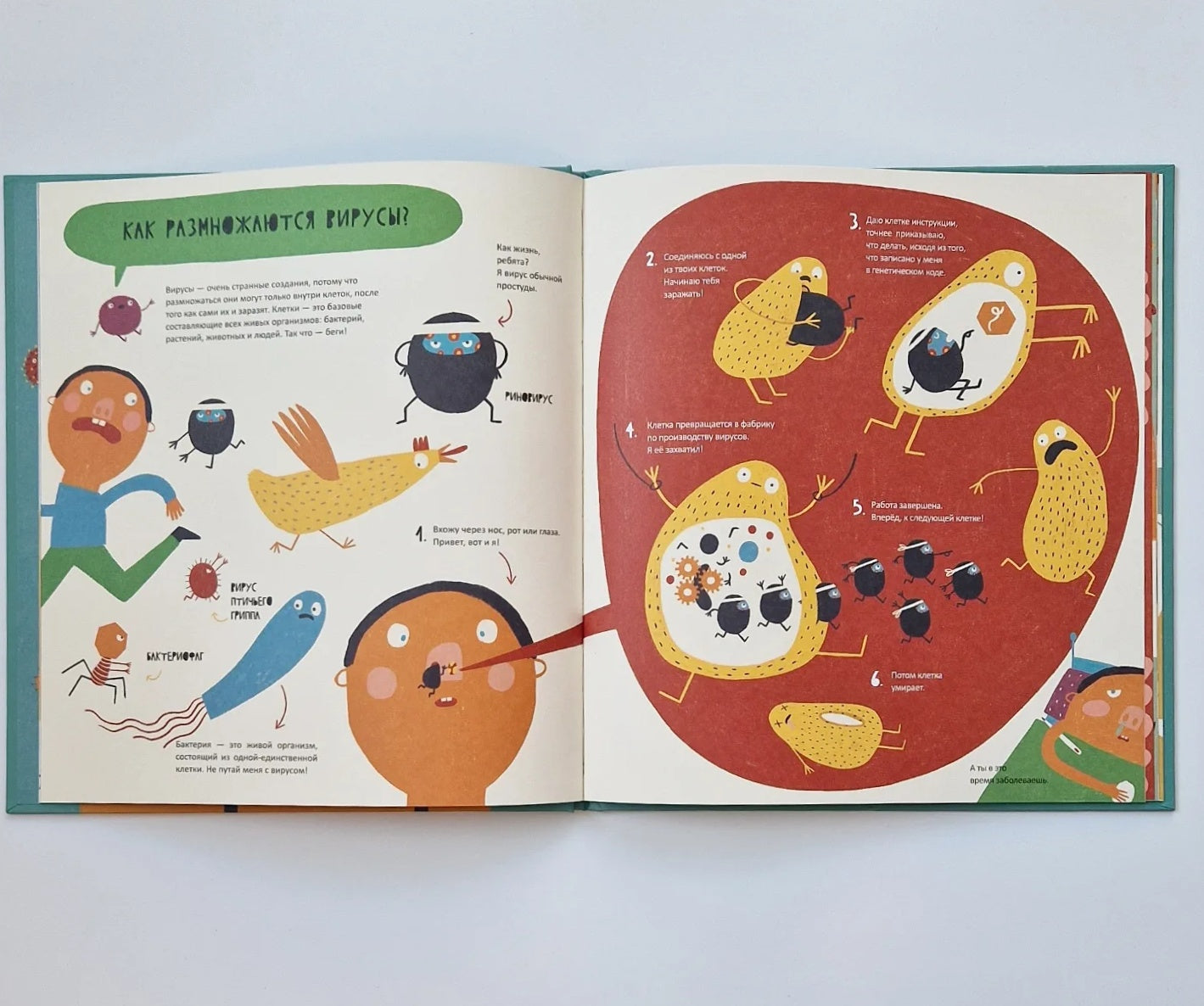 Тайная жизнь вирусов