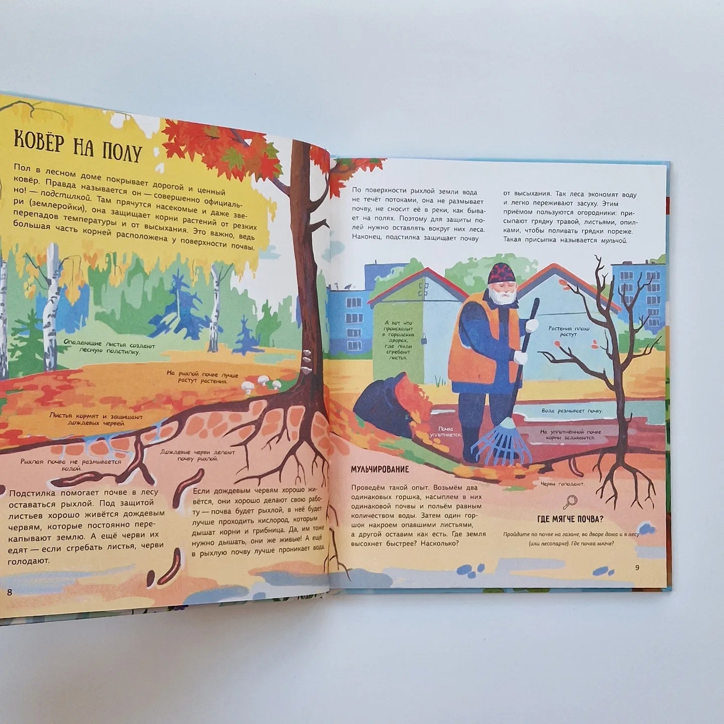 Лес. Самый умный дом на свете