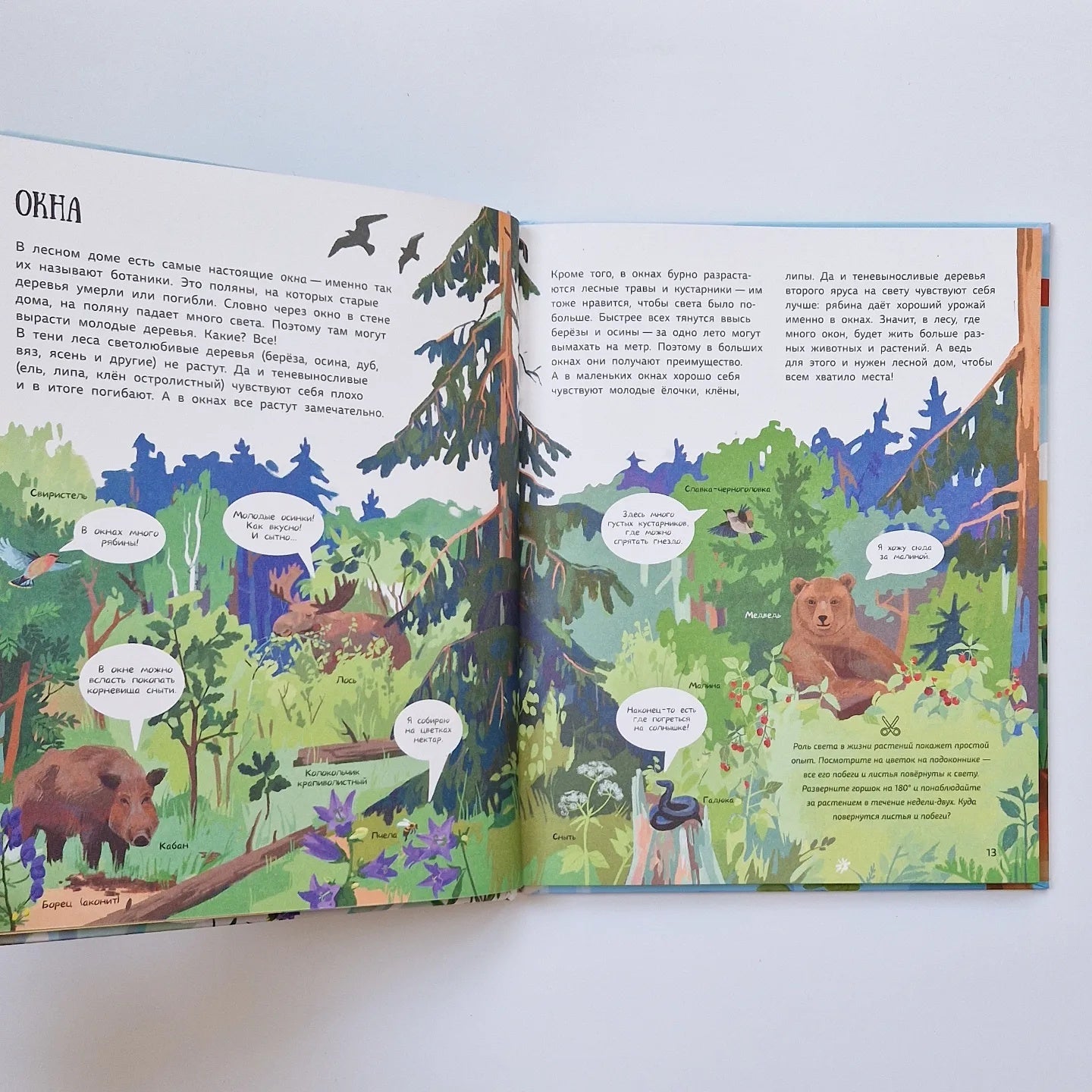 Лес. Самый умный дом на свете