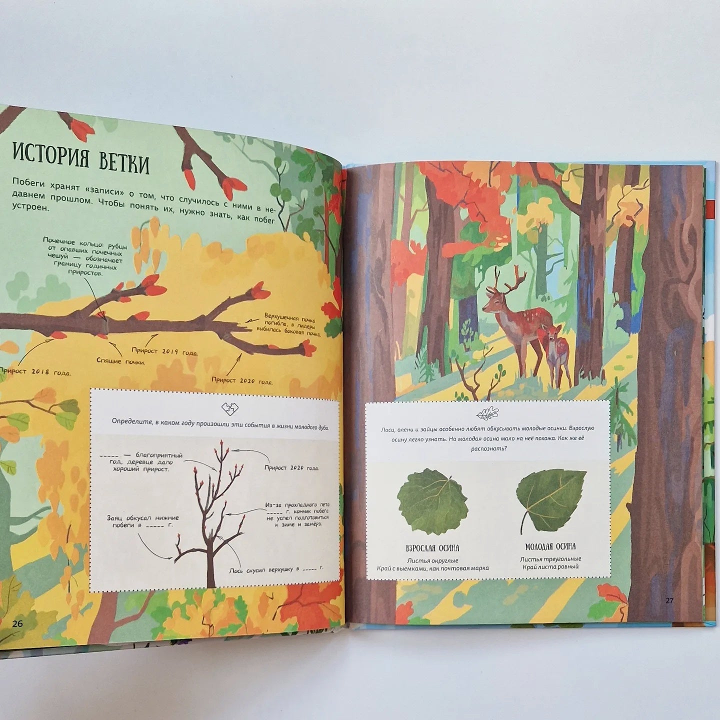 Лес. Самый умный дом на свете