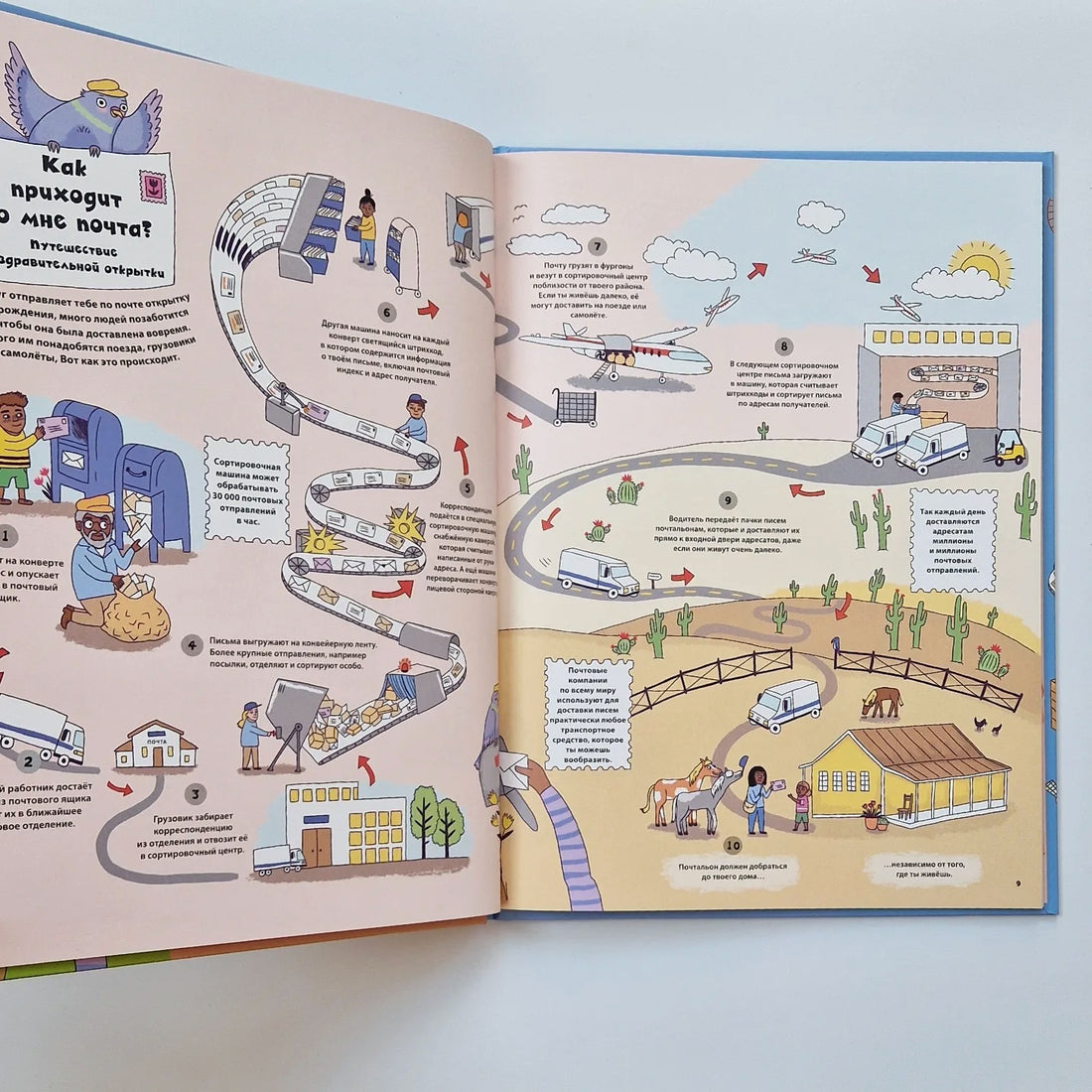 Необычные путешествия обычных вещей. От сложного пути любимых лакомств до приключений чемодана