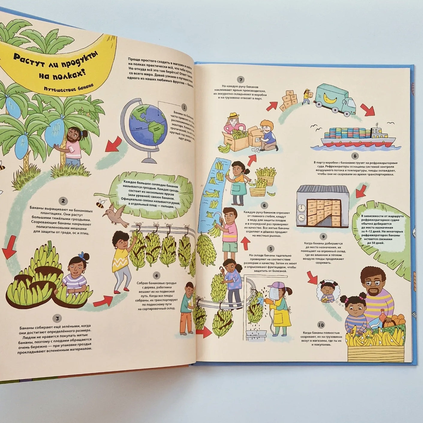 Необычные путешествия обычных вещей. От сложного пути любимых лакомств до приключений чемодана