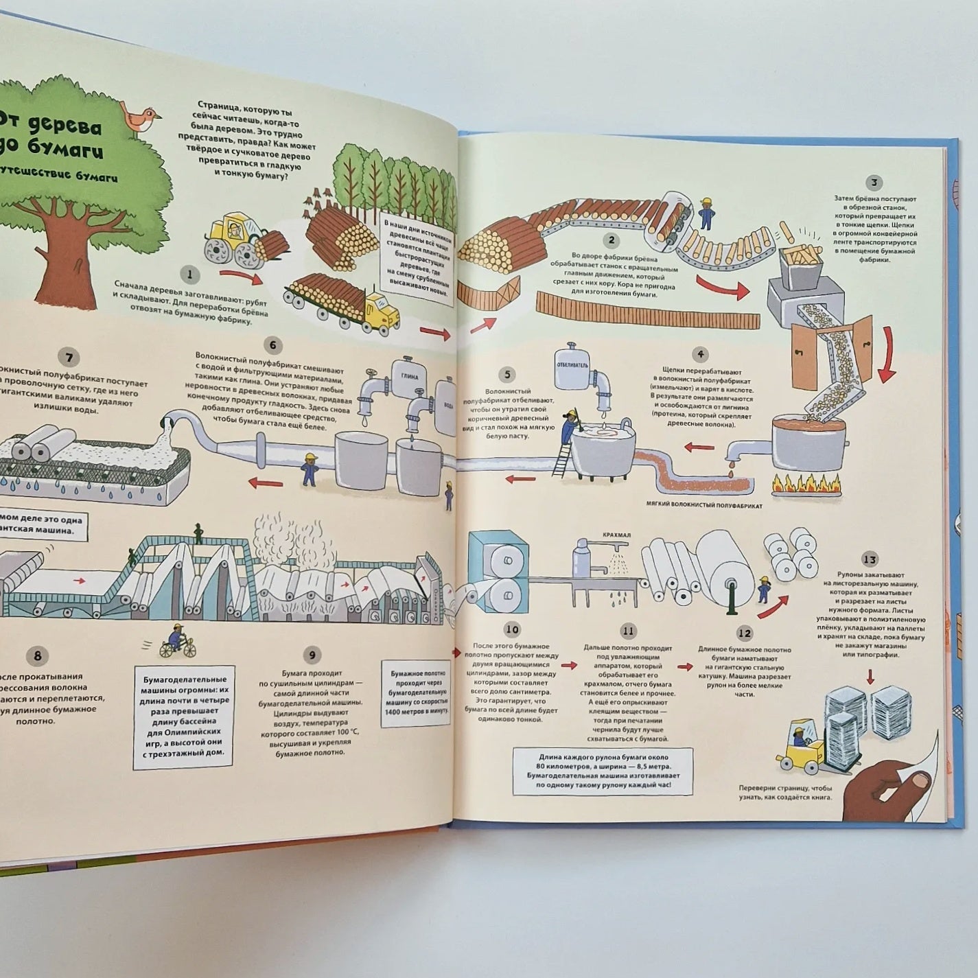 Необычные путешествия обычных вещей. От сложного пути любимых лакомств до приключений чемодана
