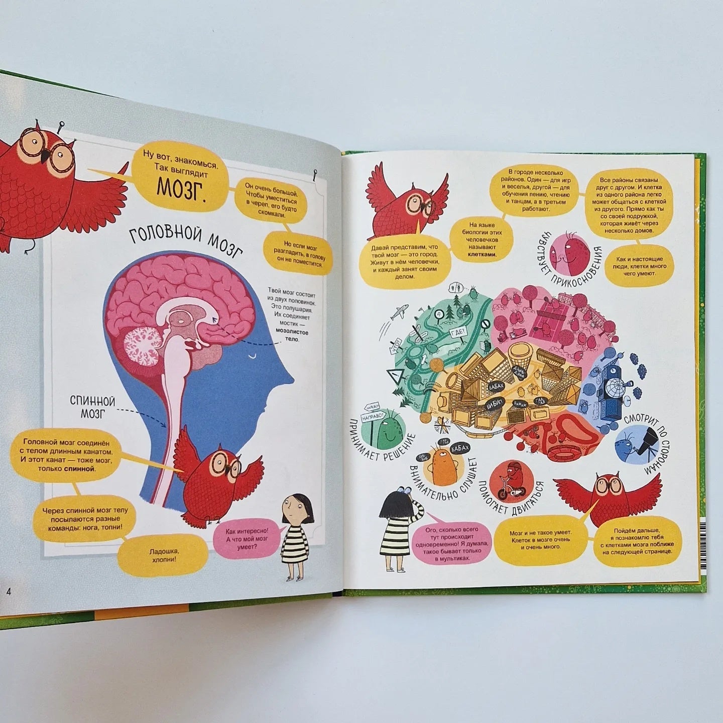 Твой мозг. Книга-экскурсия. Первое знакомство