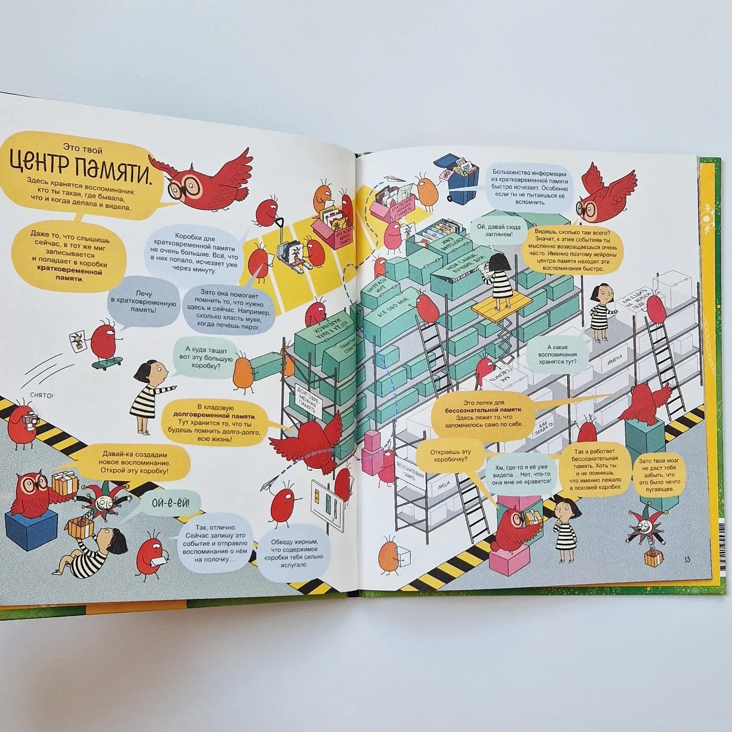 Твой мозг. Книга-экскурсия. Первое знакомство