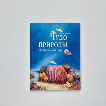 Чудо природы. История морской губки