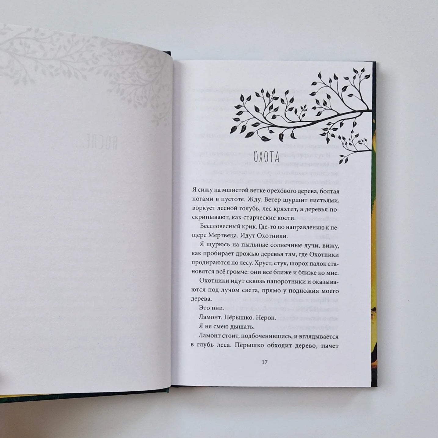 Дикий путь домой