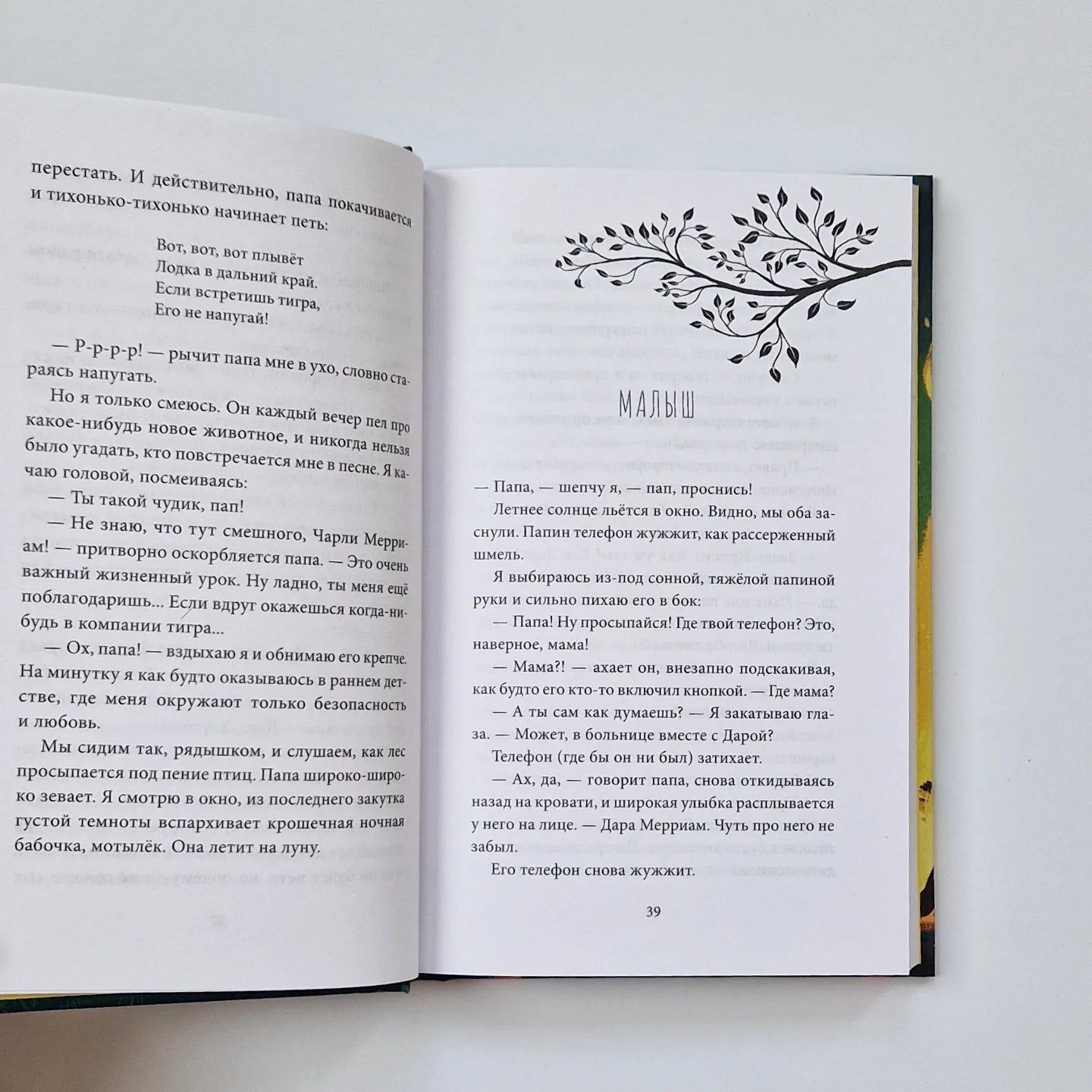 Дикий путь домой