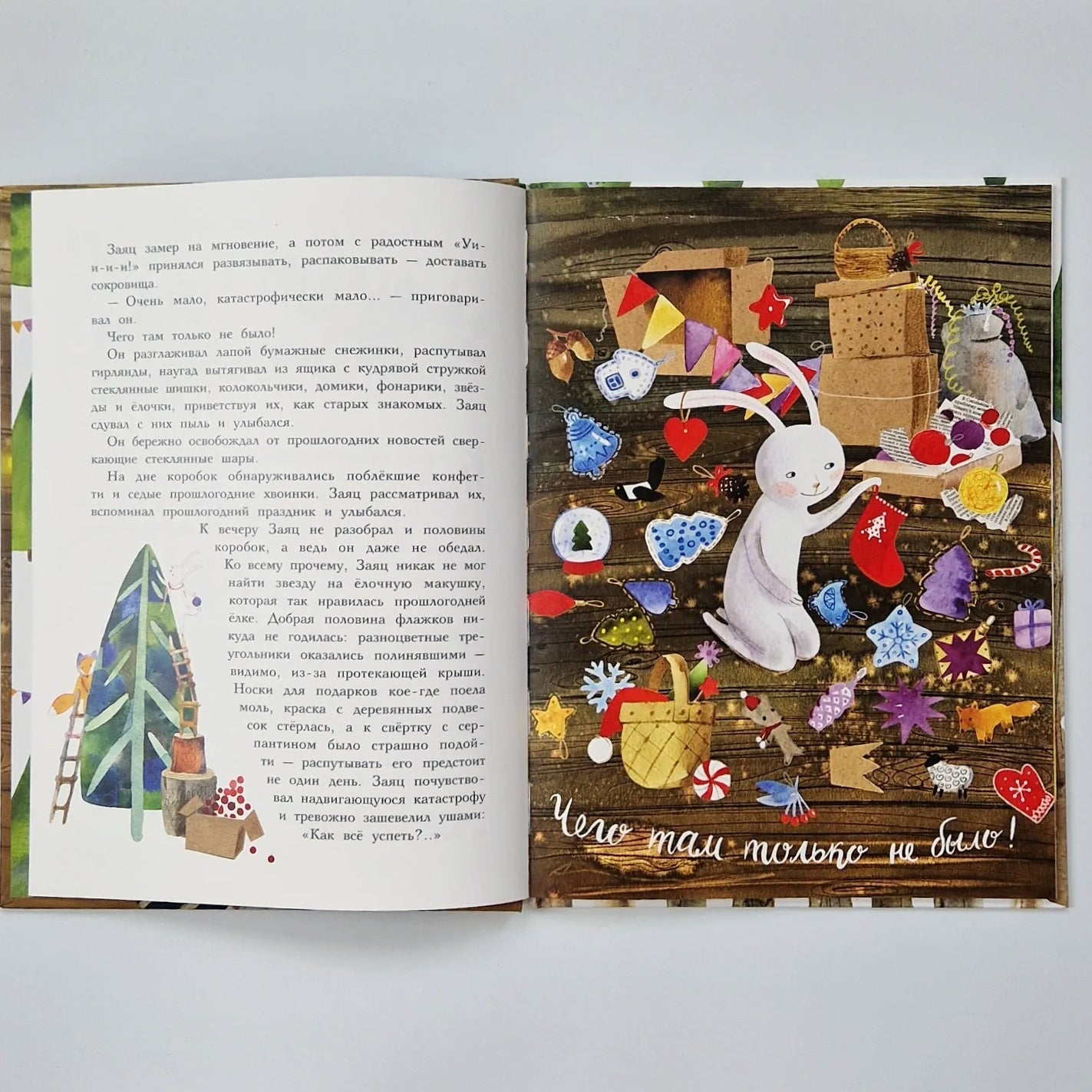 Фрося - ель обыкновенная