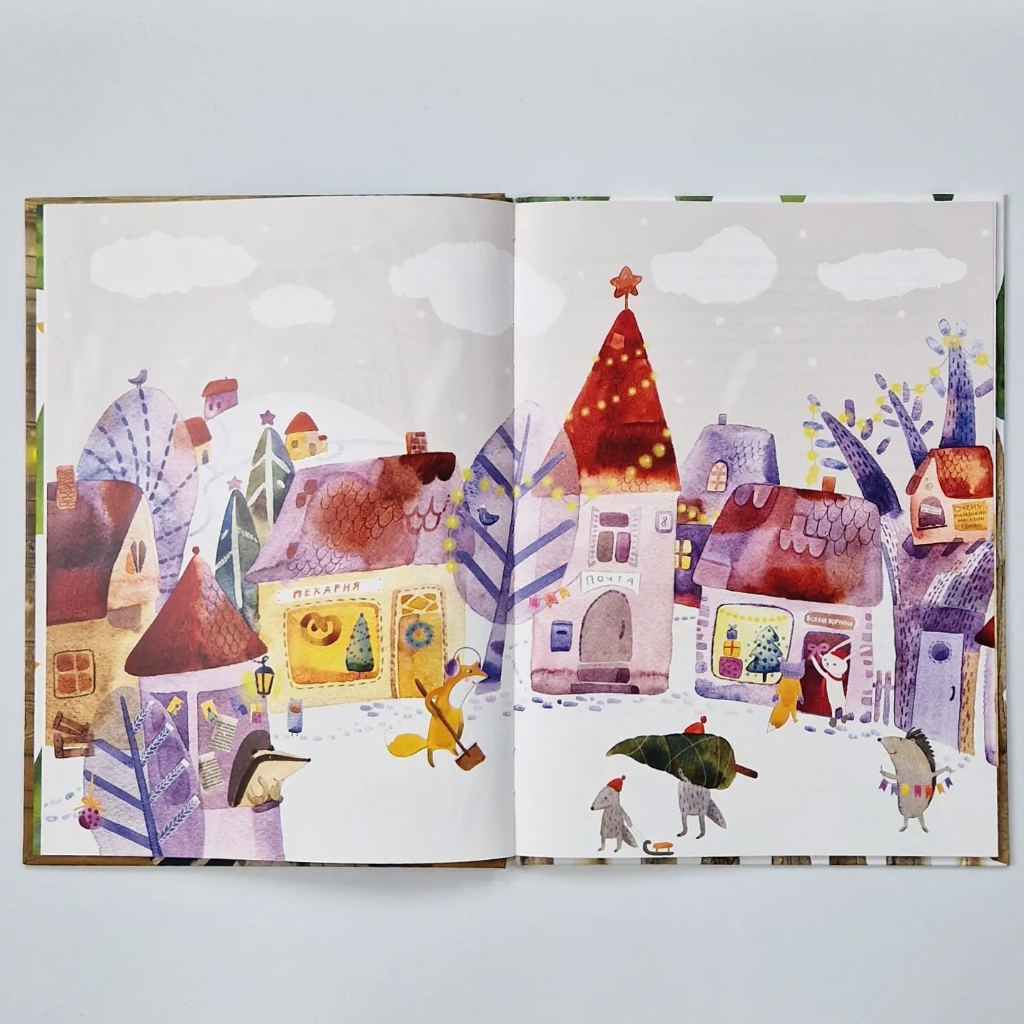 Фрося - ель обыкновенная