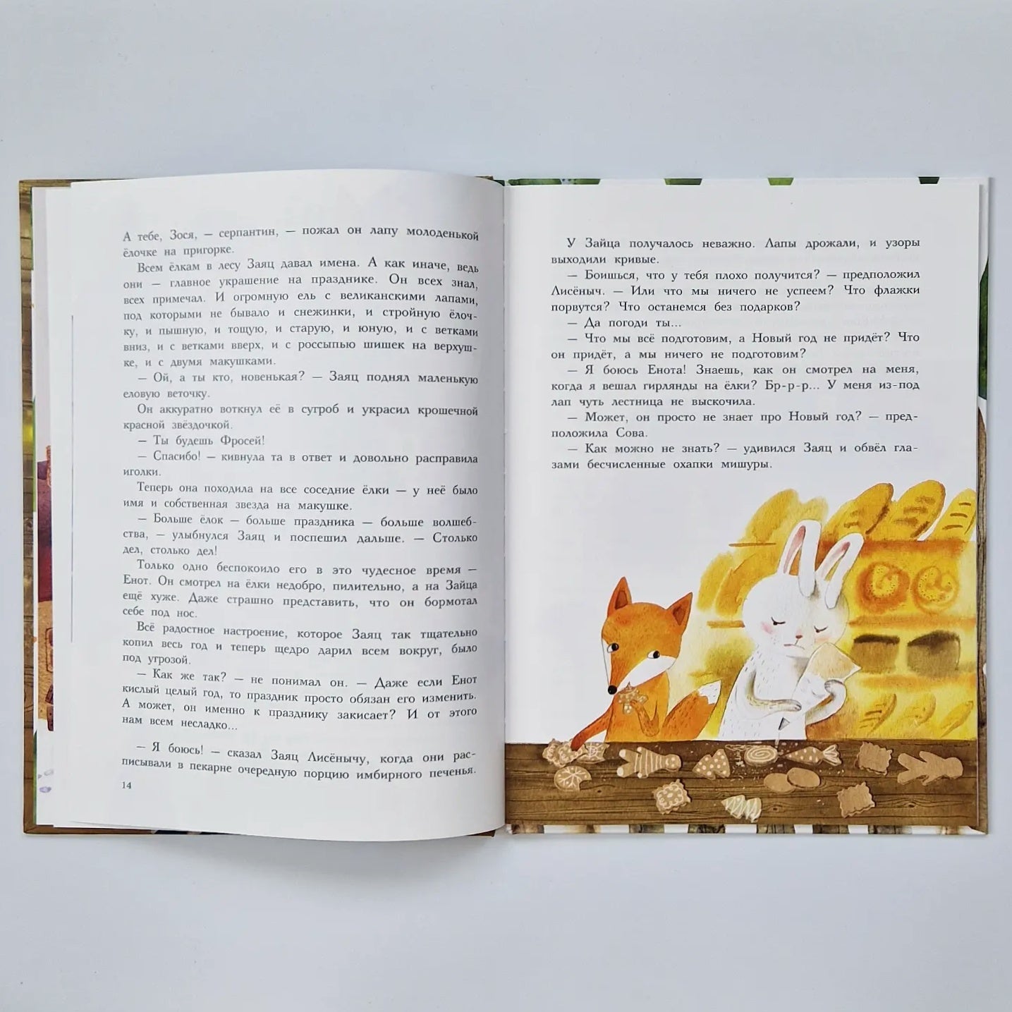 Фрося - ель обыкновенная