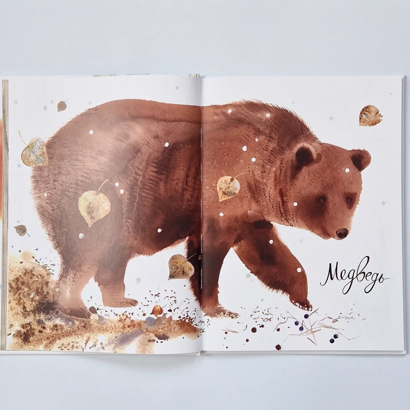 Здравствуй, зима!