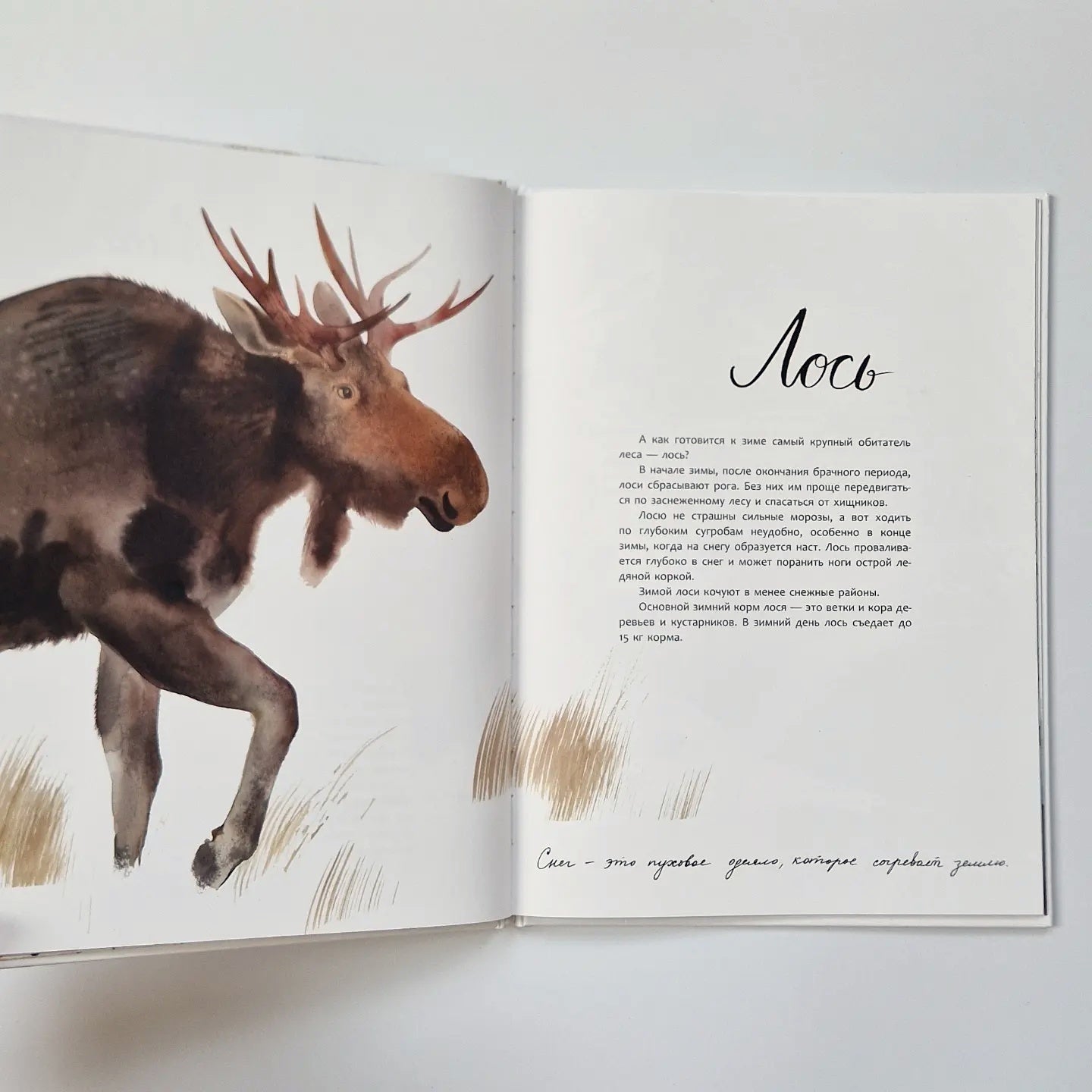 Здравствуй, зима!