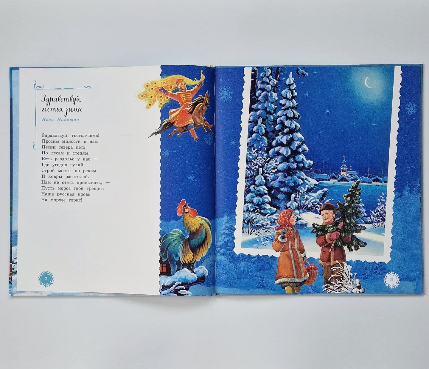 Самый лучший Новый год. Стихи для детей