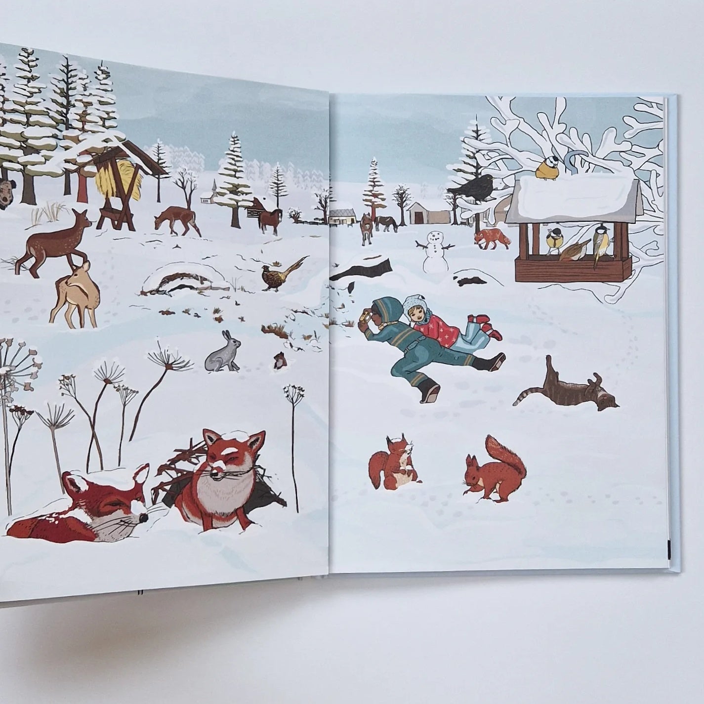 Большая книга снега и льда